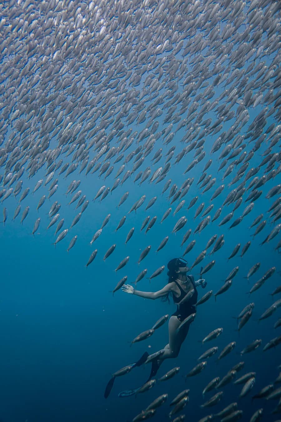 Underwater at Moalboal