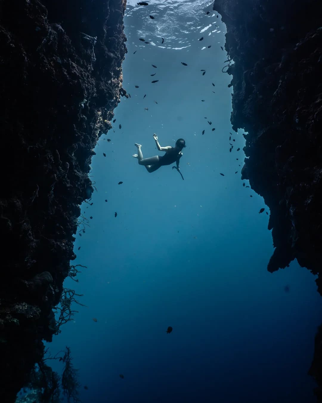 Underwater at Napalin